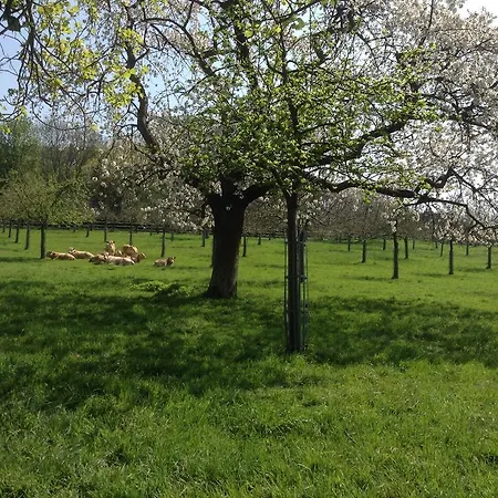 D'hotes Sophie Cite Des Peintres