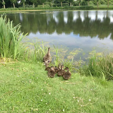 D'hotes Sophie Cite Des Peintres 3*