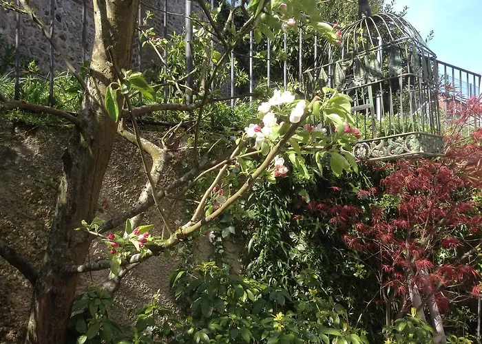 D'hotes Sophie Cité Des Peintres Bed and breakfast 3*