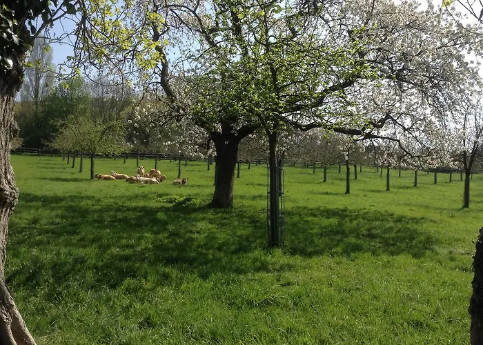 D'hotes Sophie Cité Des Peintres