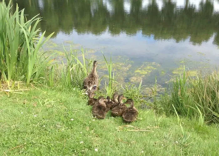 D'hotes Sophie Cité Des Peintres 3*