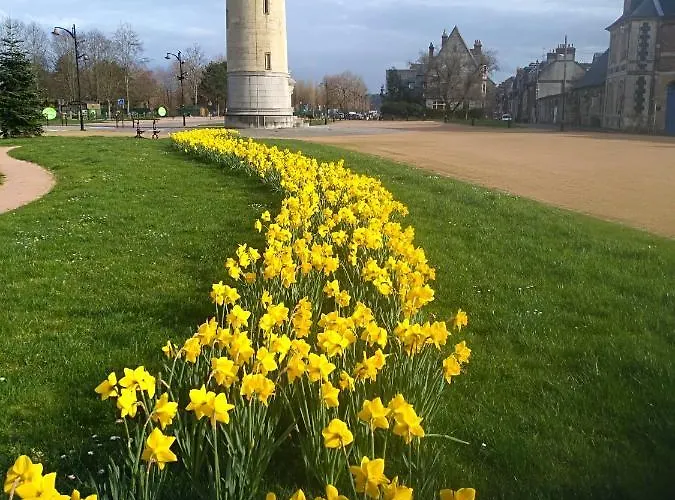 D'hotes Sophie Cité Des Peintres 3* Honfleur